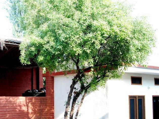Chandra Hill Resort Ranakpur Luaran gambar